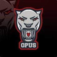 Co-owner-OPUS-Hacking