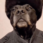 Бродяга местный - steam id 76561198034467548