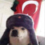 Ülkücü köpek ☾☆