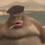 Monkesieur