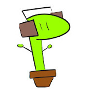 MaximusCXI