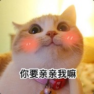 少年不应等风来