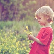 颠拱波送你回家