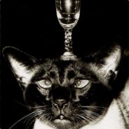 Lafayette MIAOU !!!!