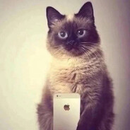 босс - steam id 76561199503100537