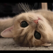 冬天一下车就说冻手