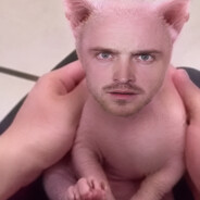 gurzasty4