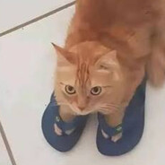 DavG avatar
