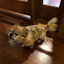 {𝓝𝓦𝓖𝓒} buddy