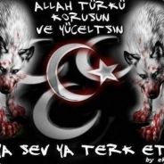 Önder 38 Kayserli Fighter