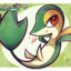 Goose7888