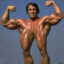 Arnold Schwarzenegger