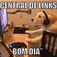 Meu Dog Pediu o Link