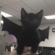 热力巴巴买买提