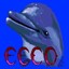 Ecco the Dolphin