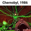 Chernobyl, 1986