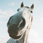☢ Horse