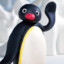 Pingu &lt;3