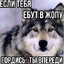 Женя скуфидрон