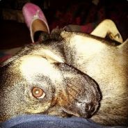 Girlie - steam id 76561197965899884
