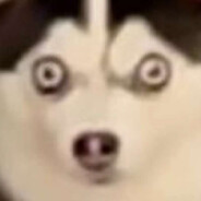 哥哥人家好怕怕呀