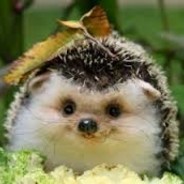 ✪ WeLikeTrains \O_O/