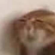 山本大意失先人