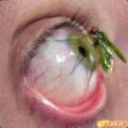 nowe konto3x0tiC slac invite!