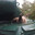 Raccoon in a Tank avatar