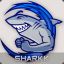 Sharkk97™