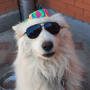 khzhq - steam id 76561199753418413