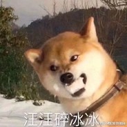 扫黑恶净环境保平安