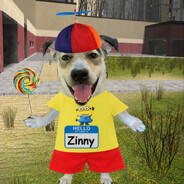 Zinny