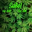 SaBoL