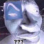 Negative Djibril