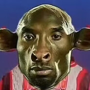 我怀了蔡徐坤、