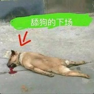 职业跳伞运动员