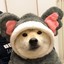 DING