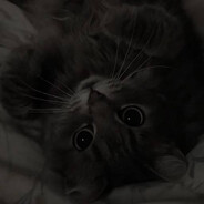 Sweet but Psycho - steam id 76561199812971677