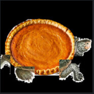Tortoise with pie