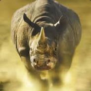 |RhinoX| Steam avatar