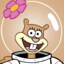 Sandy Cheeks