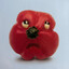 PolesskoyePazaluwits