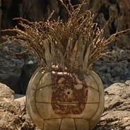 Wilson