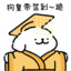 敏头的龟感