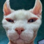 BaLD_Cat