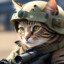 cat soldier