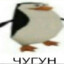 Пингвин