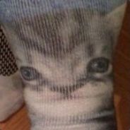 Tommy Da Cat avatar
