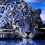 JaguarBlue